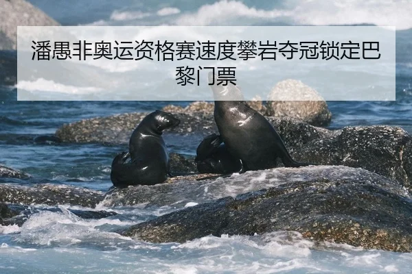 pan-yu-fei-ao-yun-zi-ge-sai-su-du-pan-yan-duo-guan-suo-ding-ba-li-men-piao-2-277.jpg