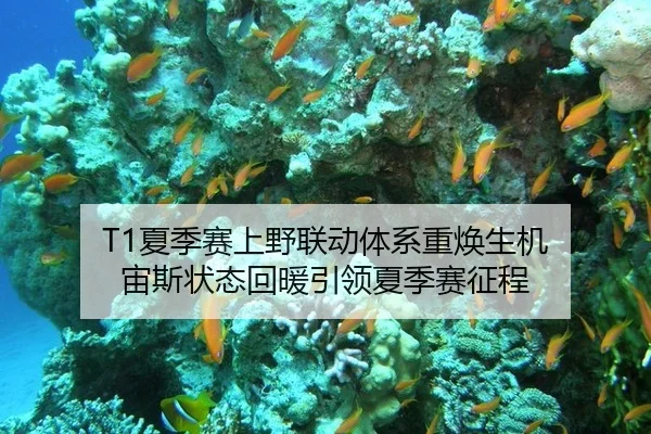 T1夏季赛上野联动体系重焕生机 宙斯状态回暖引领夏季赛征程