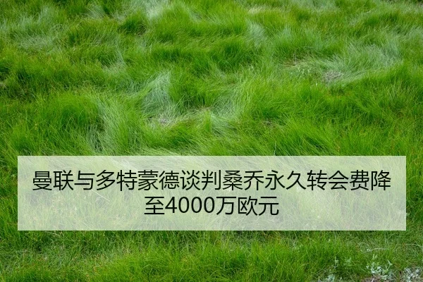 man-lian-yu-duo-te-meng-de-tan-pan-sang-qiao-yong-jiu-zhuan-hui-fei-jiang-zhi-wan-ou-yuan-2-549.jpg