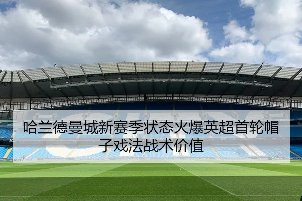 ha-lan-de-man-cheng-xin-sai-ji-zhuang-tai-huo-bao-ying-chao-shou-lun-mao-zi-xi-fa-zhan-shu-jia-zhi-2-971.jpg